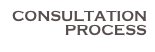 CONSULTATION PROCESS