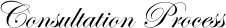 Consultation Process